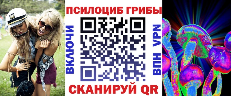 Купить где  Медногорск  Псилоцибиновые грибы Psilocybine cubensis 